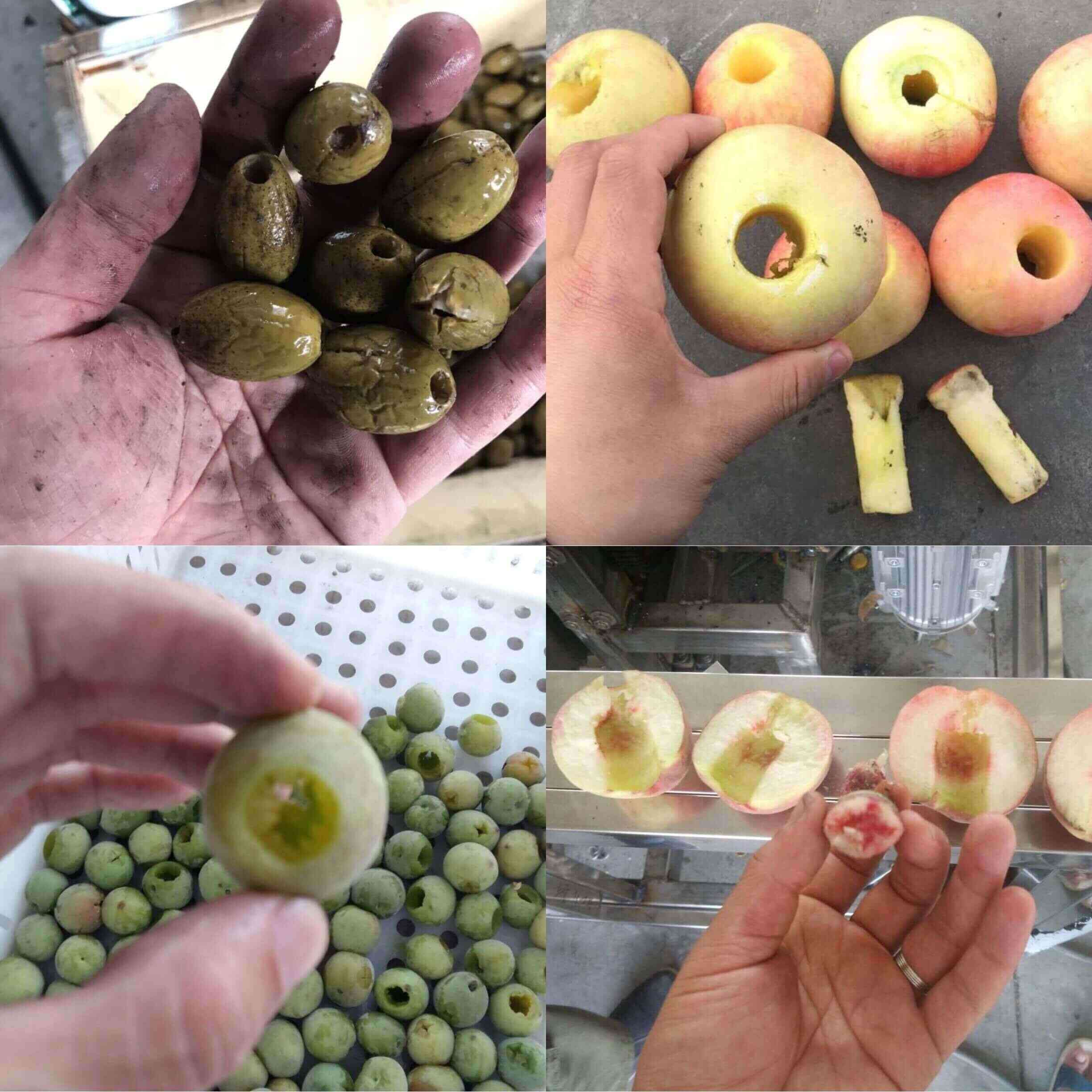 cherry pitting machine